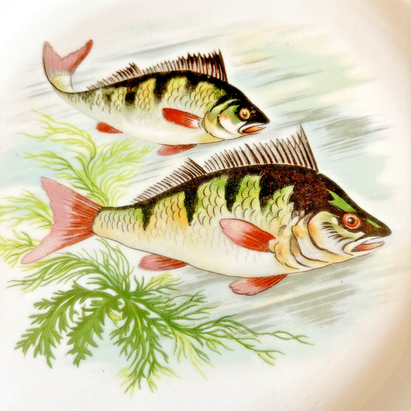 Hand Painted Fish Pattern Porcelain Dinner Plate Made In France Gold Gilt Rim - Picture 2 of 6